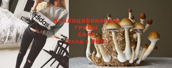 спиды Абинск