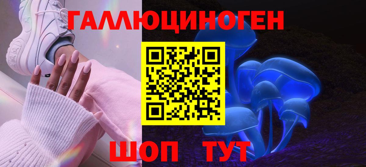 Галлюциногенные грибы Psilocybe Отрадный